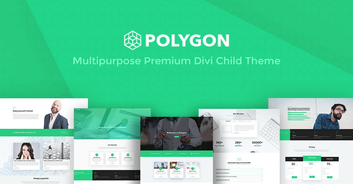polygon digital media kit